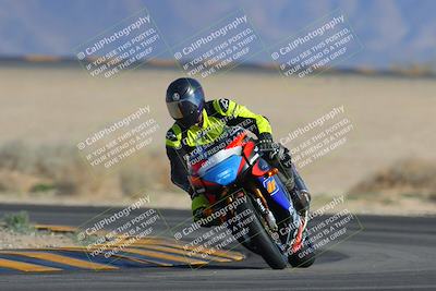 media/Feb-04-2023-SoCal Trackdays (Sat) [[8a776bf2c3]]/Turn 4 (Tree of Life 2pm)/